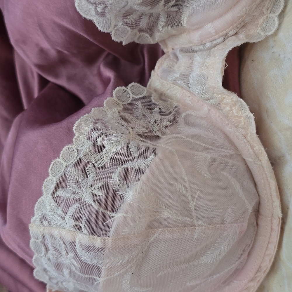 Demi Bra and Panty Set - Picture 3 of 11